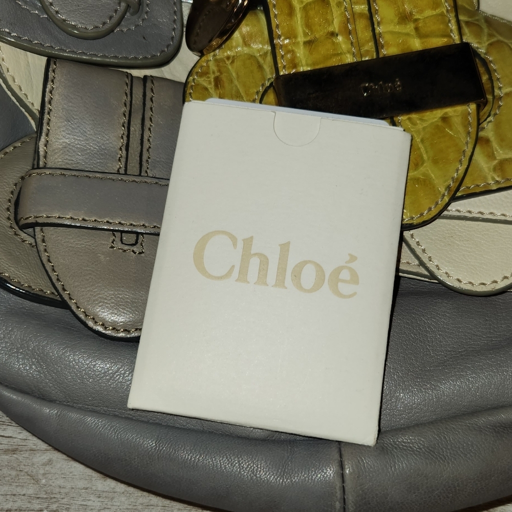 Chloe Wristlet Bag Gray Cream Snake Yellow. Leather Good Needs Some Cleaning. - Picture 11 of 16